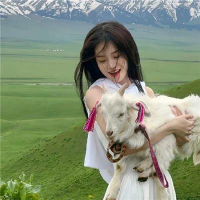 飞机总动员2:火线救援